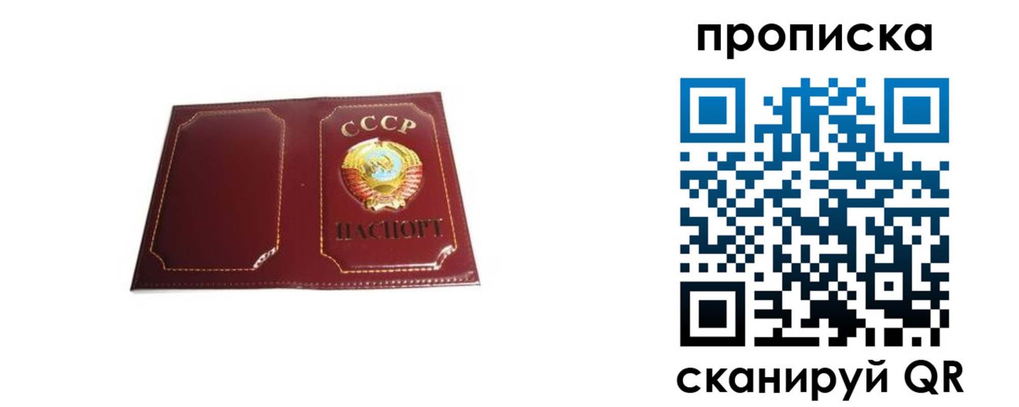 прописка гарантия в Южноуральске